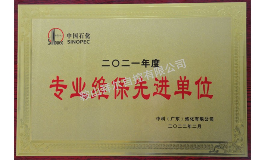 專業(yè)維保先進(jìn)單位